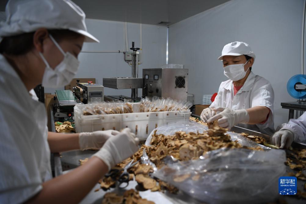mg游戏网站登录